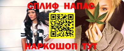 дурь Гагарин