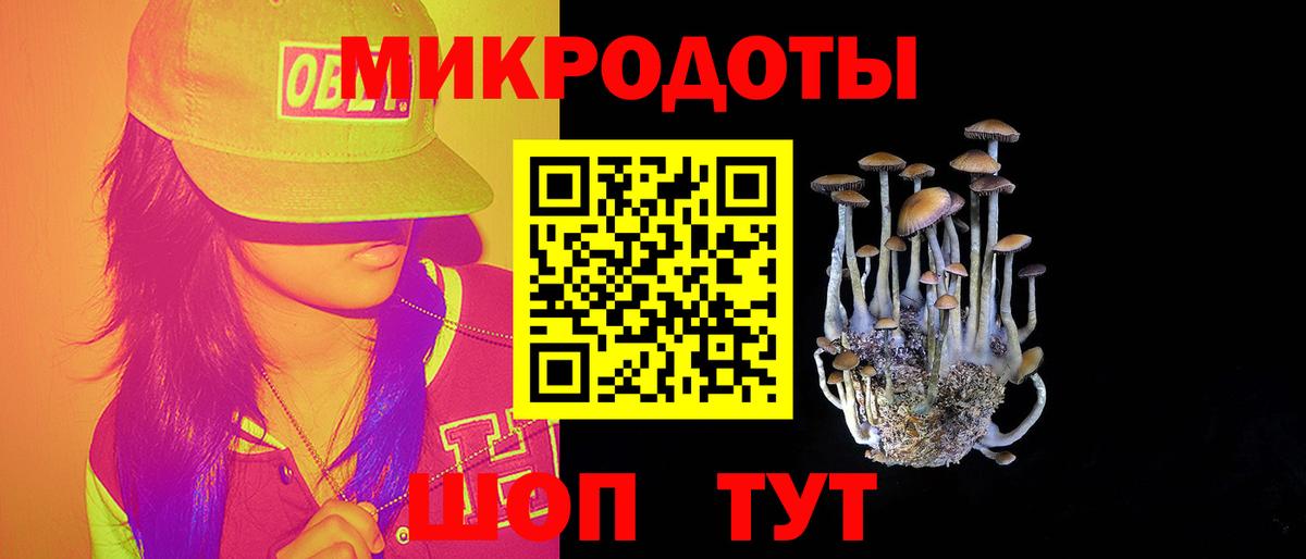 Родники  Псилоцибиновые грибы MAGIC MUSHROOMS  Вход с VPN  купить наркоту  Псилоцибиновые грибы Psilocybine cubensis 